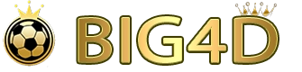 BIG4D Logo